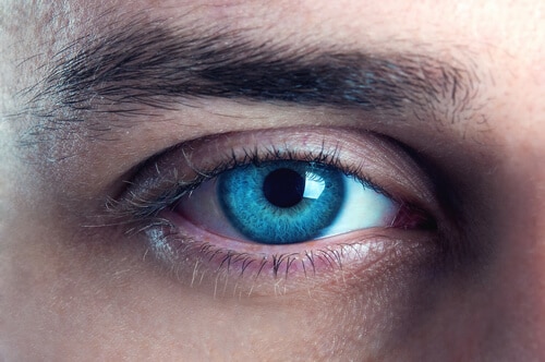 Closeup of a very blue eye